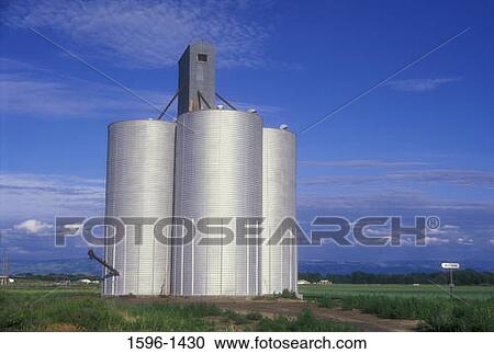 Stock Image - Grain elevators in a field, Walla Walla County, Washington State, USA. Fotosearch