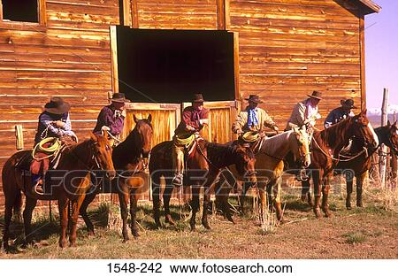 Group of cowboys lined up with horses in front of a barn View Large Photo Image Stock Image - Group of cowboys lined up with horses in front of a barn. Fotosearch