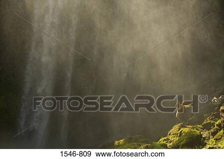 High angle view of a man standing near a waterfall, Oregon, USA View Large Photo Image Stock Photo - High angle view of a man standing near a waterfall, Oregon, USA. Fotosearch