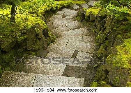 High angle view of a stepped walkway in a garden, Japanese Gardens, Washington Park, Portland, Oregon, USA View Large Photo Image Picture - High angle view of a stepped walkway in a garden, Japanese Gardens, Washington Park, Portland, Oregon, USA. Fotosearch