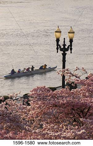 Stock Image - High angle view of boat in the river, Tom McCall Waterfront Park, Portland, Oregon, USA. Fotosearch