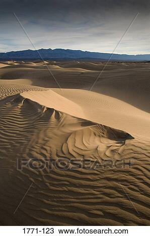 High angle view of sand dunes in a desert, Death Valley, Death Valley National Park, California, USA View Large Photo Image Stock Image - High angle view of sand dunes in a desert, Death Valley, Death Valley National Park, California, USA. Fotosearch