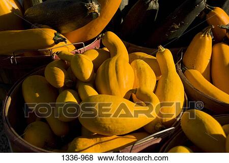 High angle view of squash at a market stall View Large Photo Image Stock Photo - High angle view of squash at a market stall. Fotosearch