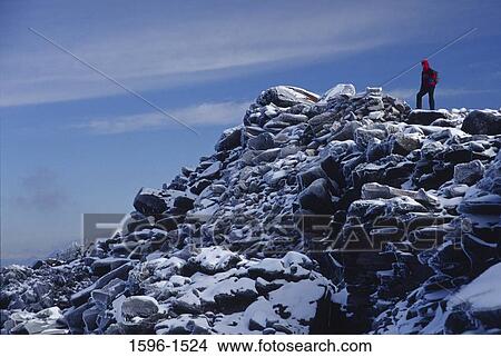 Picture - Hiker standing on a mountain, Bear Creek Mountain, Goat Rocks Wilderness Area, Wenatchee National Forest, Washington State, USA. Fotosearch
