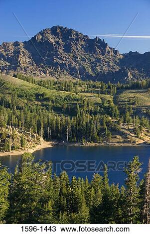 Lake surrounded by trees with mountains in the background, Upper Kinney Lake, Reynolds Peak, Pacific Crest Trail, Humboldt-Toiyabe National Forest, California, USA View Large Photo Image Stock Image - Lake surrounded by trees with mountains in the background, Upper Kinney Lake, Reynolds Peak, Pacific Crest Trail, Humboldt-Toiyabe National Forest, California, USA. Fotosearch