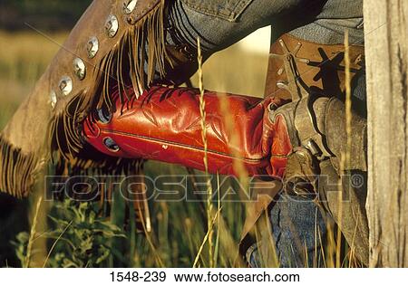 Leg of a cowboy leaning on a fence post with boot and chaps, Colorado, USA View Large Photo Image Stock Photo - Leg of a cowboy leaning on a fence post with boot and chaps, Colorado, USA. Fotosearch