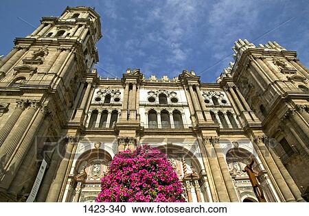 Low angle view of a cathedral, Malaga Cathedral, Malaga, Andalusia, Spain View Large Photo Image Stock Image - Low angle view of a cathedral, Malaga Cathedral, Malaga, Andalusia, Spain. Fotosearch