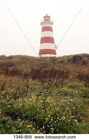 Low angle view of a lighthouse, Western Lighthouse, Brier Island, Nova Scotia, Canada View Large Photo Image Stock Photography - Low angle view of a lighthouse, Western Lighthouse, Brier Island, Nova Scotia, Canada. Fotosearch