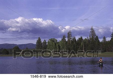 Man fly-fishing in a lake, Stampede Reservoir, Sierra county, California, USA View Large Photo Image Stock Photo - Man fly-fishing in a lake, Stampede Reservoir, Sierra county, California, USA. Fotosearch