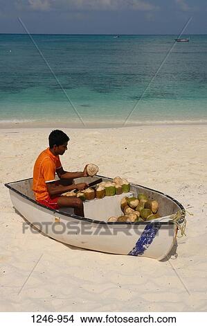 Man peeling coconuts in a boat, Suheli Par, Lakshadweep, India View Large Photo Image Picture - Man peeling coconuts in a boat, Suheli Par, Lakshadweep, India. Fotosearch