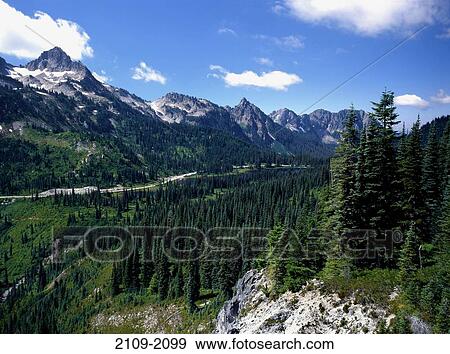 Mt Rainier National Park, Washington State, USA View Large Photo Image Stock Photo - Mt Rainier National Park, Washington State, USA. Fotosearch