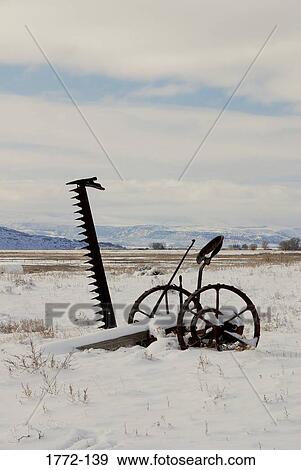 Old rake in a snow covered field, Wind River Valley, Wyoming, USA View Large Photo Image Stock Photo - Old rake in a snow covered field, Wind River Valley, Wyoming, USA. Fotosearch