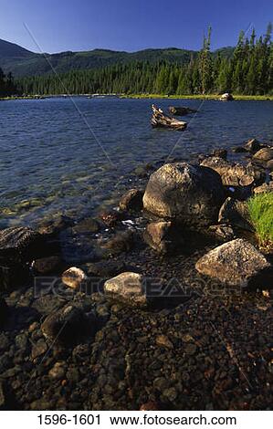 Panoramic view of a lake, Lake Wenatchee State Park, Washington State, USA View Large Photo Image Stock Image - Panoramic view of a lake, Lake Wenatchee State Park, Washington State, USA. Fotosearch