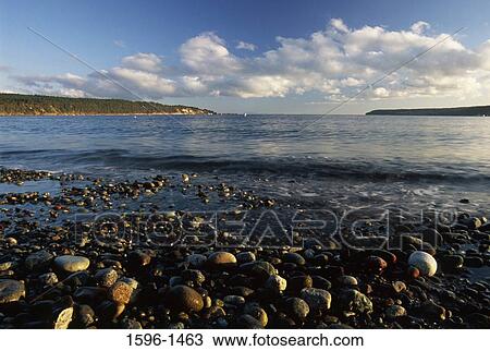 Pebbles on the beach, Bay, Discovery Bay, Gardiner, Jefferson County, Washington State, USA View Large Photo Image Stock Image - Pebbles on the beach, Bay, Discovery Bay, Gardiner, Jefferson County, Washington State, USA. Fotosearch