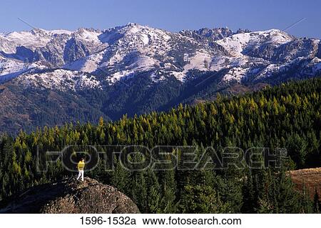 Person standing on a rock, Stuart Range, Red Top Lookout, Wenatchee National Forest, Washington State, USA View Large Photo Image Stock Image - Person standing on a rock, Stuart Range, Red Top Lookout, Wenatchee National Forest, Washington State, USA. Fotosearch