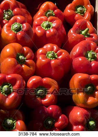 Picture - Red bell peppers at a market stall. Fotosearch