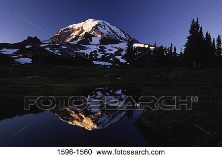 Reflection of a mountain in water, Mt Rainier, Mt Rainier National Park, Washington State, USA View Large Photo Image Stock Image - Reflection of a mountain in water, Mt Rainier, Mt Rainier National Park, Washington State, USA. Fotosearch