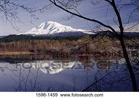 Stock Photo - Reflection of a snow covered mountain in water, Mt Adams, Trout Lake Natural Area Preserve, USA. Fotosearch