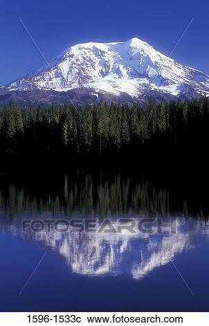 Reflection of mountain in water, Mt Adams, Takhlakh Lake, Gifford Pinchot National Forest, Washington State, USA View Large Photo Image Stock Image - Reflection of mountain in water, Mt Adams, Takhlakh Lake, Gifford Pinchot National Forest, Washington State, USA. Fotosearch