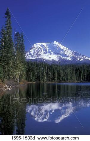 Reflection of mountain in water, Mt Adams, Takhlakh Lake, Gifford Pinchot National Forest, Washington State, USA View Large Photo Image Stock Image - Reflection of mountain in water, Mt Adams, Takhlakh Lake, Gifford Pinchot National Forest, Washington State, USA. Fotosearch