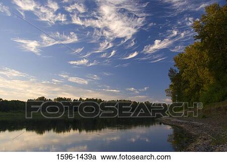 Reflection of trees in river, Willamette River, Willamette Mission State Park, Oregon, USA View Large Photo Image Stock Image - Reflection of trees in river, Willamette River, Willamette Mission State Park, Oregon, USA. Fotosearch