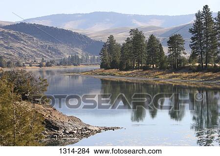 Reflection of trees in water, Flathead River, Montana, USA View Large Photo Image Picture - Reflection of trees in water, Flathead River, Montana, USA. Fotosearch