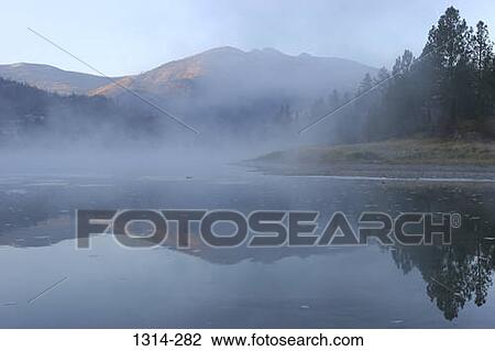 Reflection of trees in water, Flathead River, Montana, USA View Large Photo Image Stock Image - Reflection of trees in water, Flathead River, Montana, USA. Fotosearch