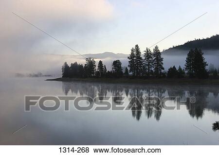 Reflection of trees in water, Flathead River, Montana, USA View Large Photo Image Stock Photo - Reflection of trees in water, Flathead River, Montana, USA. Fotosearch