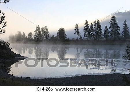 Reflection of trees in water, Flathead River, Montana, USA View Large Photo Image Stock Photography - Reflection of trees in water, Flathead River, Montana, USA. Fotosearch