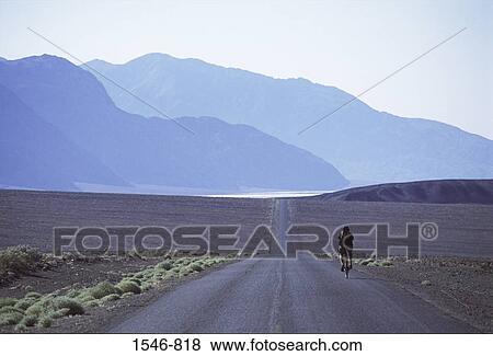 Road passing through a desert, Death Valley, California, USA View Large Photo Image Stock Photo - Road passing through a desert, Death Valley, California, USA. Fotosearch
