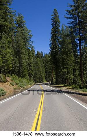 Road passing through a forest, Lassen National Forest, California, USA View Large Photo Image Stock Photo - Road passing through a forest, Lassen National Forest, California, USA. Fotosearch