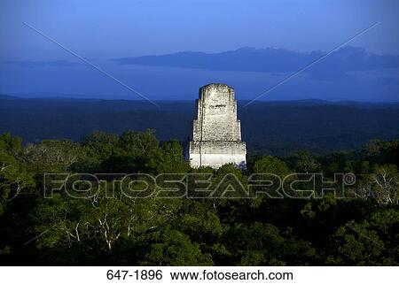 Ruins of a temple surrounded by trees, Temple Of The Grand Jaguar, Tikal National Park, Tikal, Guatemala View Large Photo Image Stock Photograph - Ruins of a temple surrounded by trees, Temple Of The Grand Jaguar, Tikal National Park, Tikal, Guatemala. Fotosearch