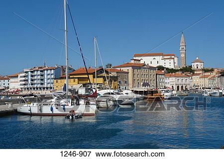 Sailboats at a harbor, Piran, Slovenia View Large Photo Image Stock Photo - Sailboats at a harbor, Piran, Slovenia. Fotosearch