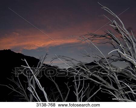 Silhouette of a mountain range, Torres del Paine National Park, Patagonia, Chile View Large Photo Image Stock Photo - Silhouette of a mountain range, Torres del Paine National Park, Patagonia, Chile. Fotosearch