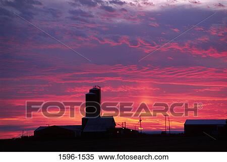 Stock Photography - Silhouette of a silo and farmhouse at sunset, McLean County, Illinois, USA. Fotosearch