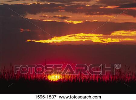 Stock Photo - Sunrise over a landscape, Tallgrass Prairie National Preserve, Flint Hills Scenic Byway, Kansas, USA. Fotosearch