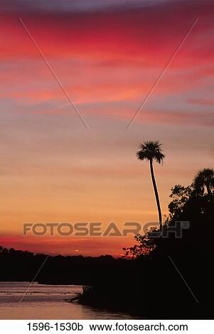 Sunset over the sea, Parker Island, Crystal River National Wildlife Refuge, Florida, USA View Large Photo Image Stock Image - Sunset over the sea, Parker Island, Crystal River National Wildlife Refuge, Florida, USA. Fotosearch