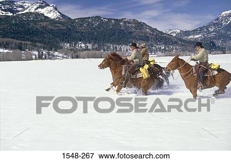 Three cowboys horseback riding in a snow covered landscape, Colorado, USA View Large Photo Image Stock Photo - Three cowboys horseback riding in a snow covered landscape, Colorado, USA. Fotosearch