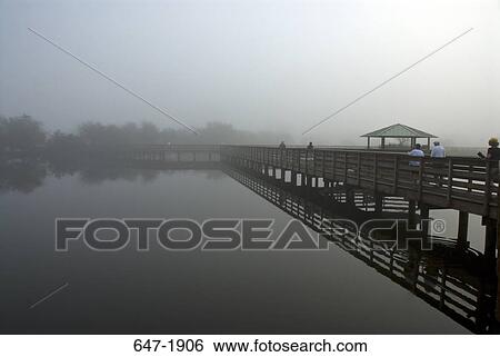 Tourists walking on a pier, Wakodahatchee Wetlands, Delray Beach, Florida, USA View Large Photo Image Stock Photograph - Tourists walking on a pier, Wakodahatchee Wetlands, Delray Beach, Florida, USA. Fotosearch