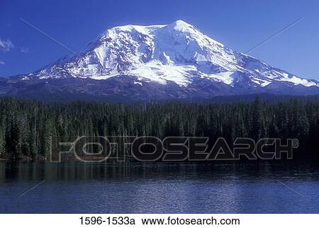 Trees at the lakeside with a snowcapped mountain in the background, Mt Adams, Takhlakh Lake, Gifford Pinchot National Forest, Washington State, USA View Large Photo Image Stock Image - Trees at the lakeside with a snowcapped mountain in the background, Mt Adams, Takhlakh Lake, Gifford Pinchot National Forest, Washington State, USA. Fotosearch