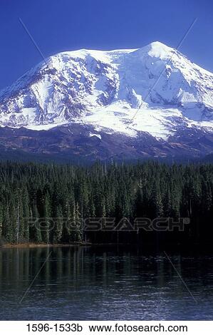 Trees at the lakeside with a snowcapped mountain in the background, Mt Adams, Takhlakh Lake, Gifford Pinchot National Forest, Washington State, USA View Large Photo Image Stock Image - Trees at the lakeside with a snowcapped mountain in the background, Mt Adams, Takhlakh Lake, Gifford Pinchot National Forest, Washington State, USA. Fotosearch