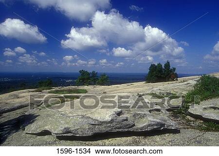 Trees on mountain, Stone Mountain, Stone Mountain Park, Georgia, USA View Large Photo Image Picture - Trees on mountain, Stone Mountain, Stone Mountain Park, Georgia, USA. Fotosearch