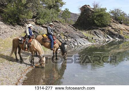 Two cowboys watering horses, Montana, USA View Large Photo Image Stock Photo - Two cowboys watering horses, Montana, USA. Fotosearch