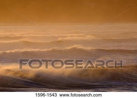 Waves in the sea, Yaquina Head Outstanding Natural Area, Oregon, USA View Large Photo Image Stock Image - Waves in the sea, Yaquina Head Outstanding Natural Area, Oregon, USA. Fotosearch