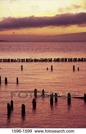 Stock Photo - Wooden post in the river, Columbia River, Pacific County, Washington State, USA. Fotosearch