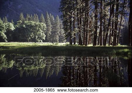 Yosemite National Park California USA View Large Photo Image Stock Photography - Yosemite National Park California USA. Fotosearch