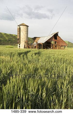Stock Photo - Abandoned barn in a field, Oregon, USA. Fotosearch