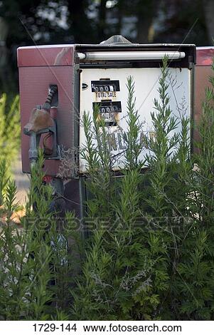 Abandoned gas station with overgrown weeds, Long Island, New York State, USA View Large Photo Image Picture - Abandoned gas station with overgrown weeds, Long Island, New York State, USA. Fotosearch