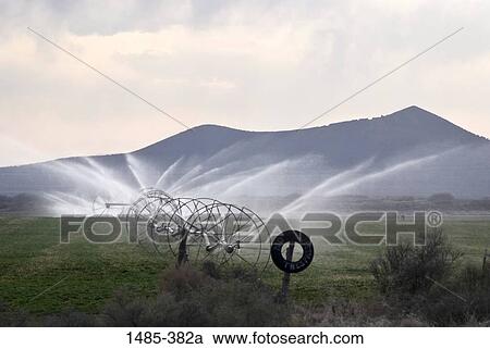 Agricultural sprinklers watering in a field, Nevada, USA View Large Photo Image Stock Image - Agricultural sprinklers watering in a field, Nevada, USA. Fotosearch