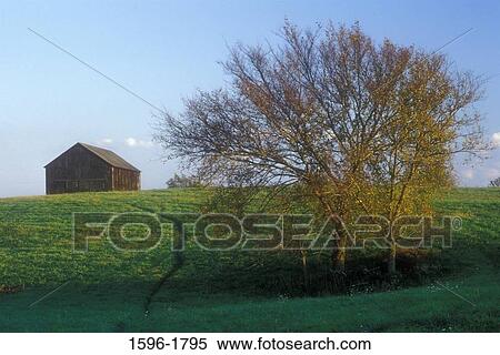 Stock Photography - Barn in a field, Madison County, Kentucky, USA. Fotosearch